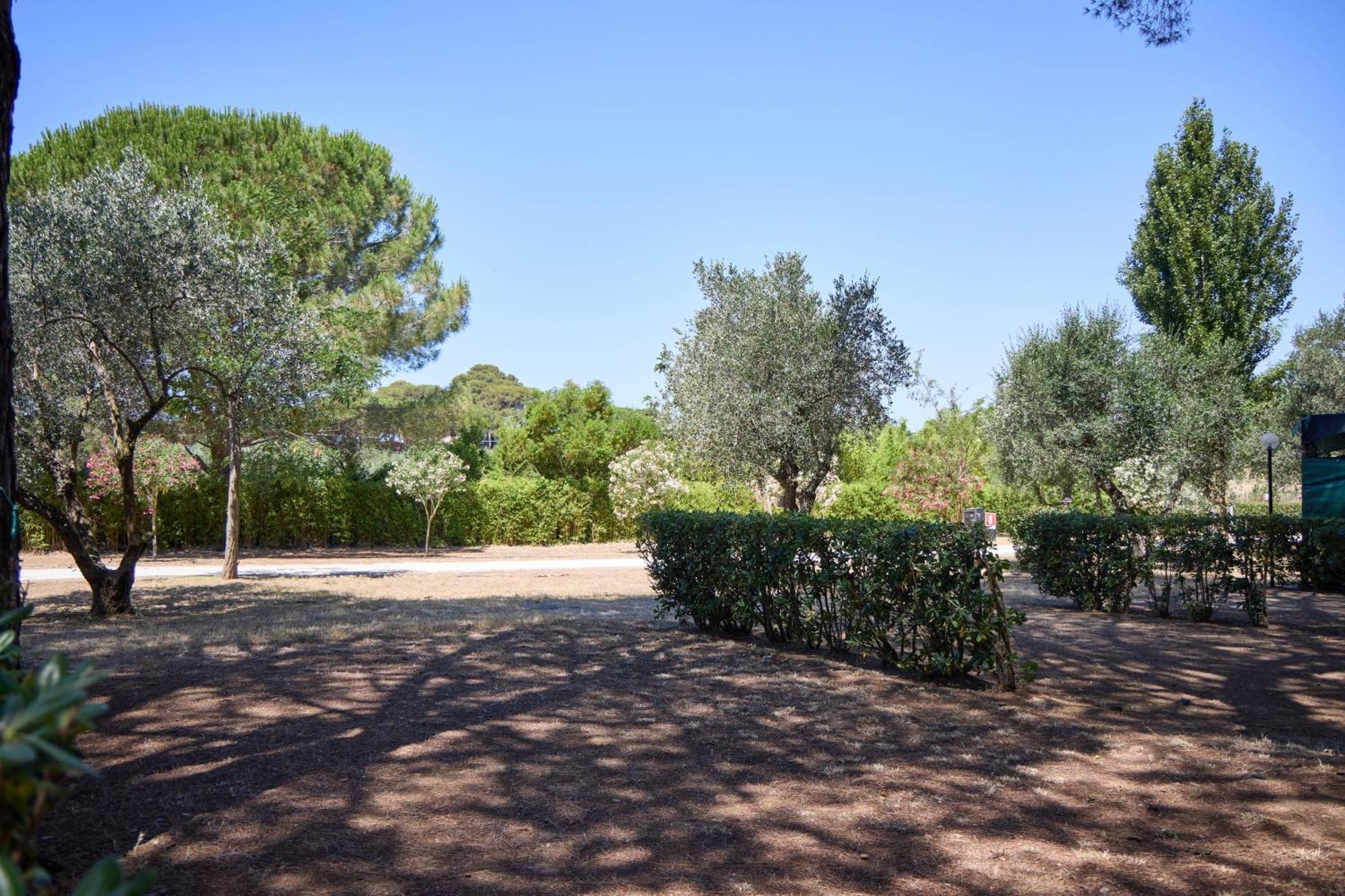 Costa D'Argento - Camping Village Club Capalbio Extérieur photo